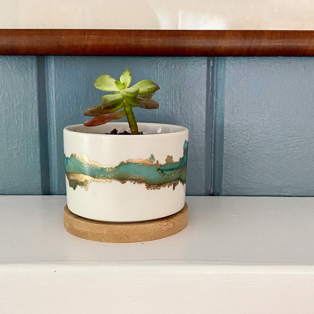 custom succulent planter Succulent Planter Gift Idea for the Plant Lover – Inked in Style